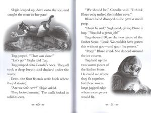 Libro del ponte 4 capitoli della leggenda Firehawk - Product Image 4