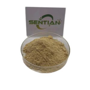 Venta caliente Pure Natural Purple Echinacea Flower Extract Powder 4% Health Polifenoles Purpurea - Product Image 1