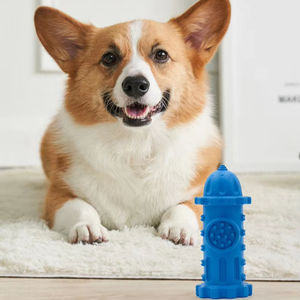 Set di toelettatura quotidiana per giocattoli per la cura dentale del cane medio universale - Product Image 1