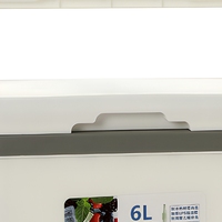 Glacière portable 12L en PP pour pique-nique et stockage de boissons pour le camping