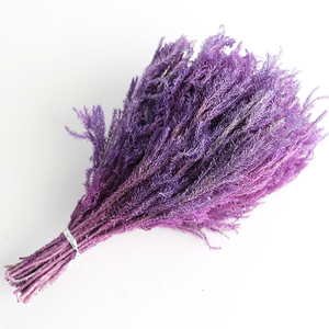 Bouquet de fleurs séchées en mousse du Yunnan <span class=keywords><strong>Club</strong></span> Décoration de maison de Noël rétro avec boîte-cadeau élégante - Product Image 4