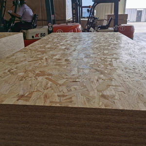 Tableros de Madera de Álamo de 1220*2440 mm, Económicos, de 15 mm y 18 mm, Tableros <span class=keywords><strong>OSB</strong></span> para Construcción Interior, Muebles y Uso Decorativo - Product Image 1