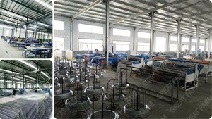 Diseño general del gallinero de puesta en una granja de pollos totalmente automatizada <span class=keywords><strong>y</strong></span> una agricultura de cría a gran escala - Product Image 6