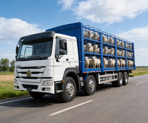 Camion à ridelles haute Howo 6x4 pour le <span class=keywords><strong>transport</strong></span> de marchandises agricoles et de bétail - Product Image 1