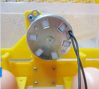 Mini incubateur automatique pour œufs de poulet, couveuse, prix bon marché, contrôleur d'humidité et de température
