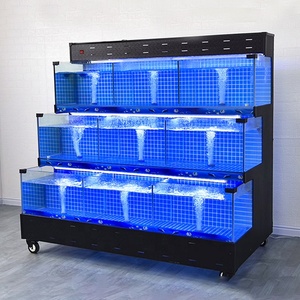 Sistema de acuario sostenible con exhibición de 1.5L para mariscos, langosta azul y peces vivos, con enfriador de 1.5hp y tanque de vidrio, para supermercados y restaurantes. - Product Image 3