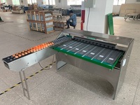 Machine de tri des œufs certifiée CE / Trieuse de qualité des œufs de poule / Machine de tri des œufs à grande vitesse