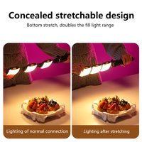 Mini Lampe Clip LED RGB Rechargeable USB pour Selfie Téléphone Portable, Vidéo TikTok et Studio
