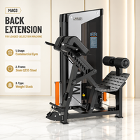 Machine de musculation multifonctionnelle pour salle de sport, équipement de fitness avec câble réglable, machine d'extension dorsale allongée pour la gym