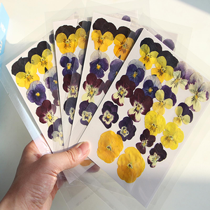 Decorazioni Fai-da-Te per Tavolo Dessert Matrimoniale, Fiori Secchi di Pansé, Fiori Viola Multicolore, Petali Pressati per Decorazioni - Product Image 5