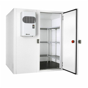 Coldroom y refrigerador de almacenamiento en frío de alta calidad para carne congelada, frutas, verduras - Product Image 3