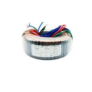 Customized 60W encapsulated single phase toroidal isloation transformer low frequency power for audio ampllifier