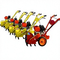 Désherbant à essence professionnel pour l'entretien des pelouses domestiques 20 kg Autopropulsé / Manuel Multifonctionnel Noir Rouge Garantie de 3 mois