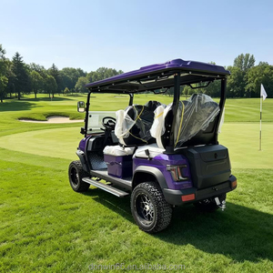 Carrito de Golf Eléctrico 4x4 de 1-2 Plazas Todoterreno con Motor de 5KW, Batería de Litio de 60V, Compatible con Villas Vacacionales, Controlador Curtis, Aluminio - Product Image 6