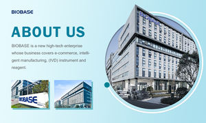 बायोबैस बेंचटॉप <span class=keywords><strong>ph</strong></span> मीटर बेंच <span class=keywords><strong>ph</strong></span> मीटर की बेंच <span class=keywords><strong>ph</strong></span> मीटर लैब के लिए डिजिटल <span class=keywords><strong>ph</strong></span> टेस्टर इलेक्ट्रोड - Product Image 3