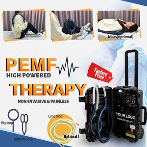 Dispositivo de Terapia Magnética PEMF de Alta Calidad para Uso Doméstico, Alivio del Dolor Muscular, Máquina PEMF de Doble Control para Humanos y Caballos - Product Image 2