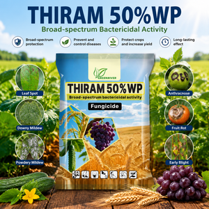 <span class=keywords><strong>Fongicide</strong></span> Thiram 50% WP à large spectre, <span class=keywords><strong>traitement</strong></span> protecteur des semences pour céréales, légumes et fruits - Product Image 1