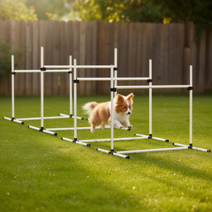 Barres de saut réglables en hauteur, ensemble de 4 pièces, blanc, équipement d'agilité pour chien, modèle D0100X3HV5J, fournitures d'entraînement pour animaux de compagnie - Product Image 2
