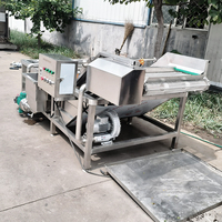 YOUBAN Automatische 304 RVS Belletjeswasmachine Industriële Groente- en Fruitwasser voor Voedselverwerkingslijn