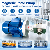 Pompe à rotor de dosage haute précision, pompe à lobes rotative sanitaire 316L, pompe à rotor magnétique