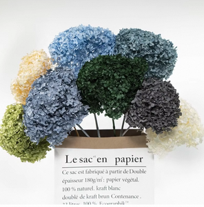 Venta al por mayor de Hortensias Azules Congeladas Secas, Cabezas de Flores de <span class=keywords><strong>Hortensia</strong></span> Preservadas de Tallo Largo para Suministro a Granel y Decoración Eterna - Product Image 5