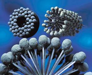 Brosse de rodage flexible en carbure de silicium OEM industrielle, directement de l'usine, pour le polissage et le nettoyage des cylindres hydrauliques et pneumatiques - Product Image 2