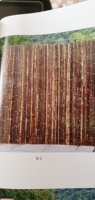 Valla de bambú 2022 natural para jardín, cerca de caña de madera de bambú enrollada, Panel de Sauce de privacidad natural/husillo de sauce