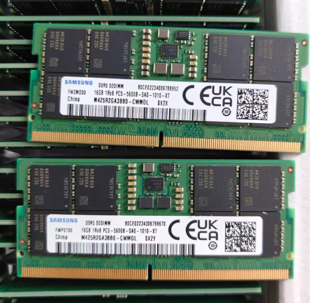 Samsung Laptop Memory Stick DDR5 M425R2GA3BB0-CWM0L/CWM0D Memory Stick