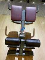 Machine d'extension dorsale à charges individuelles YG-FITNESS YG-7036 pour usage commercial