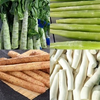 Machine automatique industrielle électrique pour laver et peler les concombres, le manioc et les pommes de terre