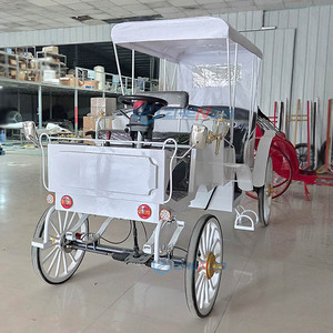 High Quality Tourism Pure White Black Seat Sightseeing Carriage, Tourist Attractions, Hotels, Sightseeing Carriage - Product Image 3