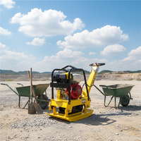 Compacteur à plaques vibrant jaune 5,5 CV 50x35 cm avec moteur à économie d'énergie pour le compactage et le terrassement en construction