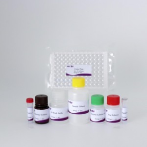 PRRSV Monoclonal Antibody Competitive ELISA <strong>Kit</strong> for Swine Reproductive and Respiratory Syndrome Virus Detection - Product Image 2