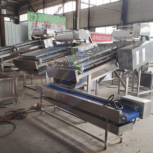 Máquina de limpieza de gambas de gran oferta/máquina peladora de camarones/máquina peladora de gambas - Product Image 2