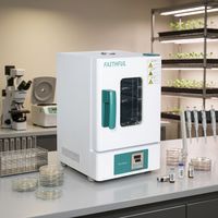 Mini four de séchage électrique de bureau à température constante