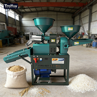Nouvelle version améliorée de la machine automatique de déstonage et de polissage du riz avec moteur 4KW pour les petites entreprises de décorticage de riz