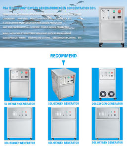 <span class=keywords><strong>Chinese</strong></span> Fabrikant Viskweek 93 Concentratie Pure Zuurstof Apparatuur 30l/Min Psa Zuurstofgenerator - Product Image 3