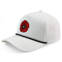 Casquette de golf personnalisée HN10 avec broderie, casquette de sport 5 panneaux avec visière incurvée et cordon, tissu imperméable, casquette de baseball Gorras