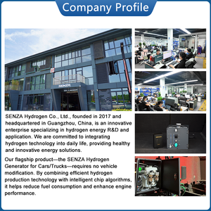 Máy tạo khí hydro SENZA PEM độ tinh khiết 99,99%, chỉ sử dụng nước tinh khiết, hiệu suất cao, di động, sản xuất khí hydro công nghiệp - Product Image 5