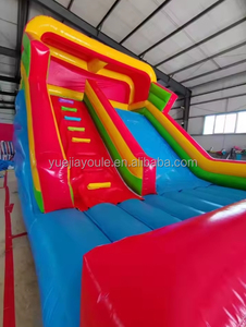 Castillo Inflable de Alta Calidad a Precio de Fábrica, Nuevo Diseño para Juegos al Aire Libre, Castillo de Brinco Comercial para Niños, Material de PVC, 4x6m - Product Image 3