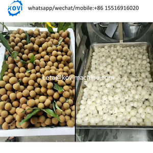 เครื่องปอกเปลือกผิวสกัดจากลำไยเครื่องมืออัตโนมัติเครื่องปอกเปลือกเมล็ดแกนแกนกดนิวคลีอิกผลไม้ - Product Image 3