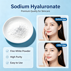 Hialuronato de Sodio Catiónico en Polvo de Alta Pureza - Ingrediente para el Cuidado del Cabello y la Piel (Hidratante y Antiestático) - Product Image 2