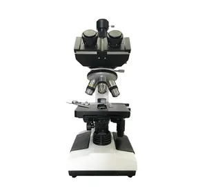 Z112 AOFUSEN Microscope Ningbo Factory Optical Electronic Compound Microscope Cheap Price