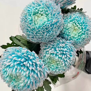 Khả năng phục hồi cao nhựa <span class=keywords><strong>PE</strong></span> <span class=keywords><strong>Rose</strong></span> <span class=keywords><strong>Flower</strong></span> Bud Net Lưới Net Bìa - Product Image 1