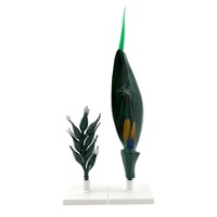 Modèle de fleur de blé magnifiée en PLA pour démonstration pédagogique en botanique
