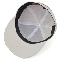 Casquettes structurées de style hip-hop vietnamien, brodées sur toute la surface, avec logo 3D personnalisé de qualité supérieure, broderie OEM, pour l'extérieur