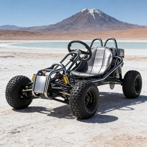 Nuevo Buggy Todoterreno en Venta, Buggy de Alta Calidad a Precio Accesible, Buggy con Motor de Gasolina para <span class=keywords><strong>Todo</strong></span> Tipo de <span class=keywords><strong>Terreno</strong></span> - Product Image 3