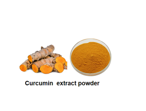 Miglior prezzo integratore estratto organico impianto di estrazione della curcumina 95% - Product Image 2