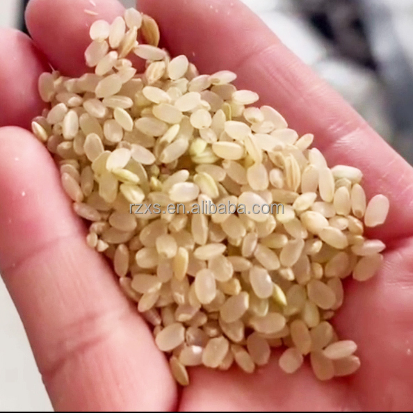 European standard quality 1500-2000 kg per hour mini auto ctnm15b rice mill machine