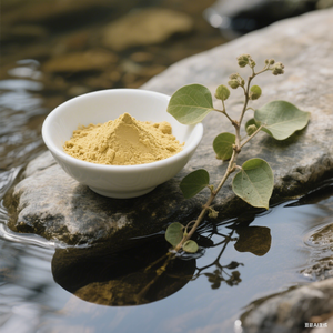 Longsheng số lượng lớn Horny Goat Weed chiết xuất hạt Giống chất lỏng 5:1 10:1 20:1 50:1 nồng độ epimedium grandiflorum chiết xuất có thể bột - Product Image 5